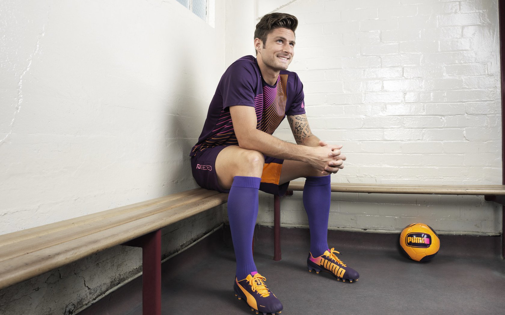 最“萌”的比赛：球迷与动物的趣味互动，动物踢球的游戏